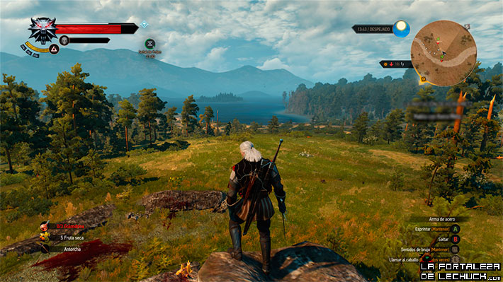 the-witcher-3-2